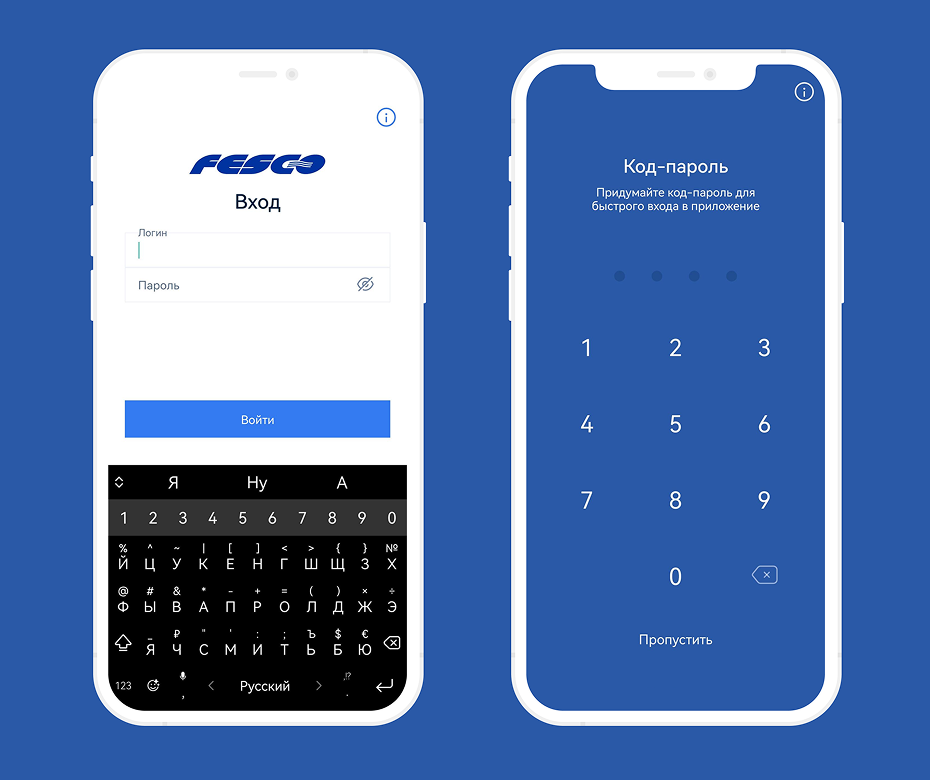 ИТ-аудит судов FESCO